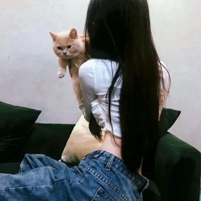 佐贺偶像是传奇