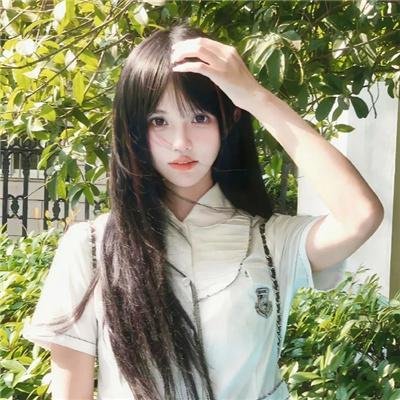 爱犬情深